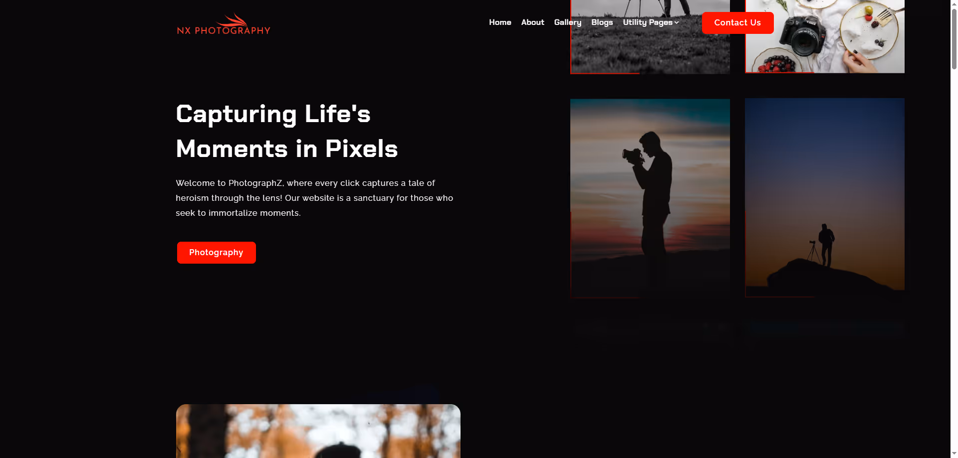 Web Site Örnekleri 