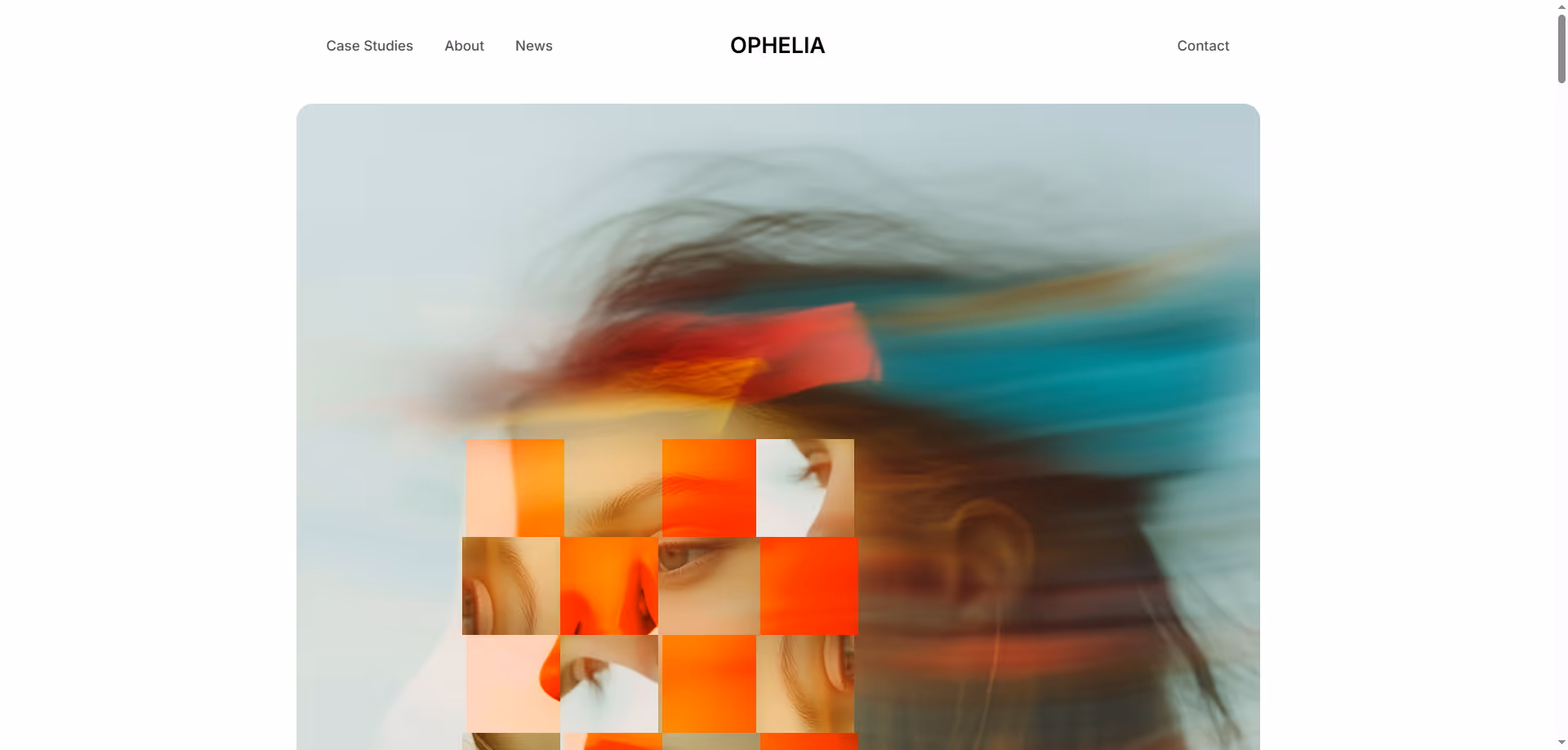 Web Site Örnekleri 