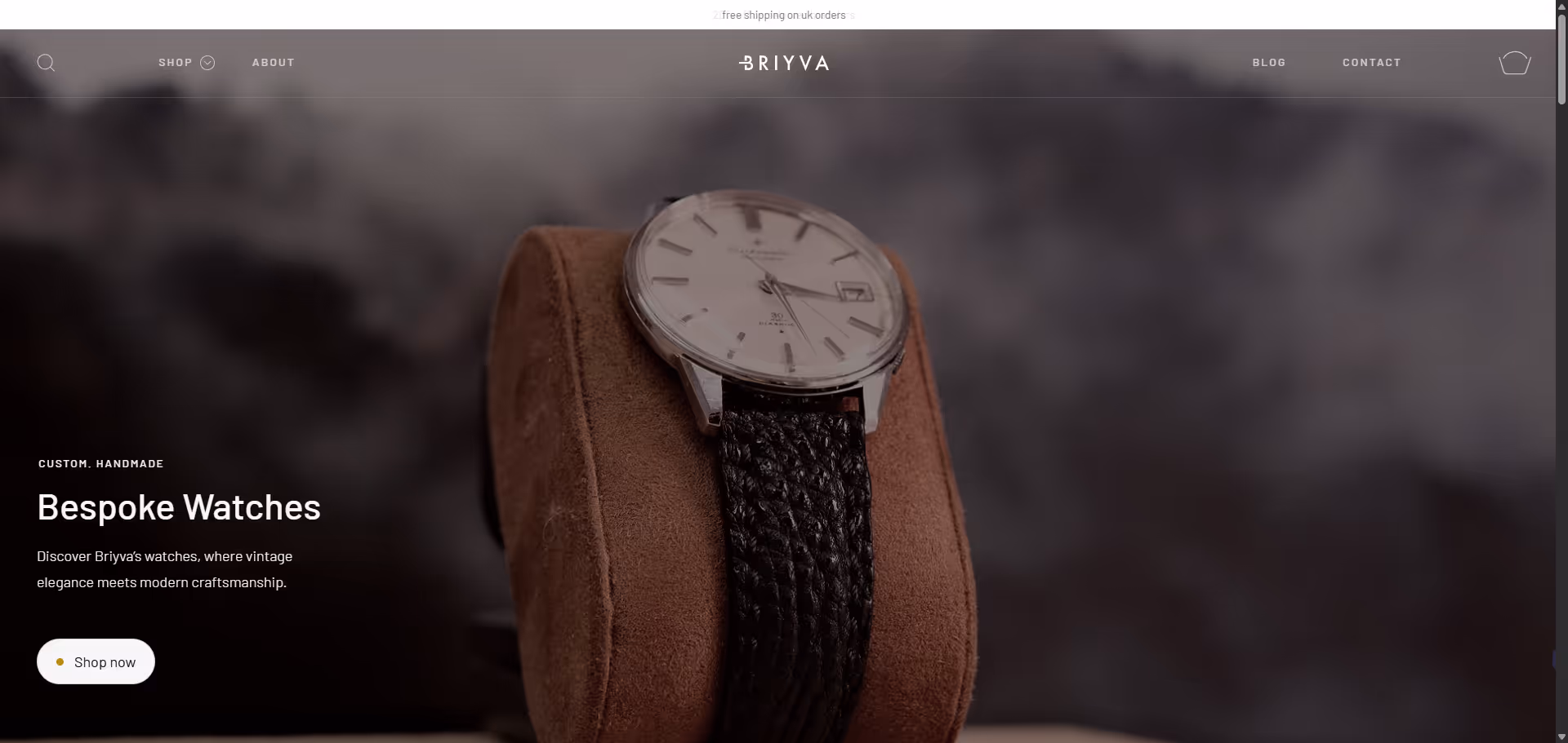 Web Site Örnekleri 