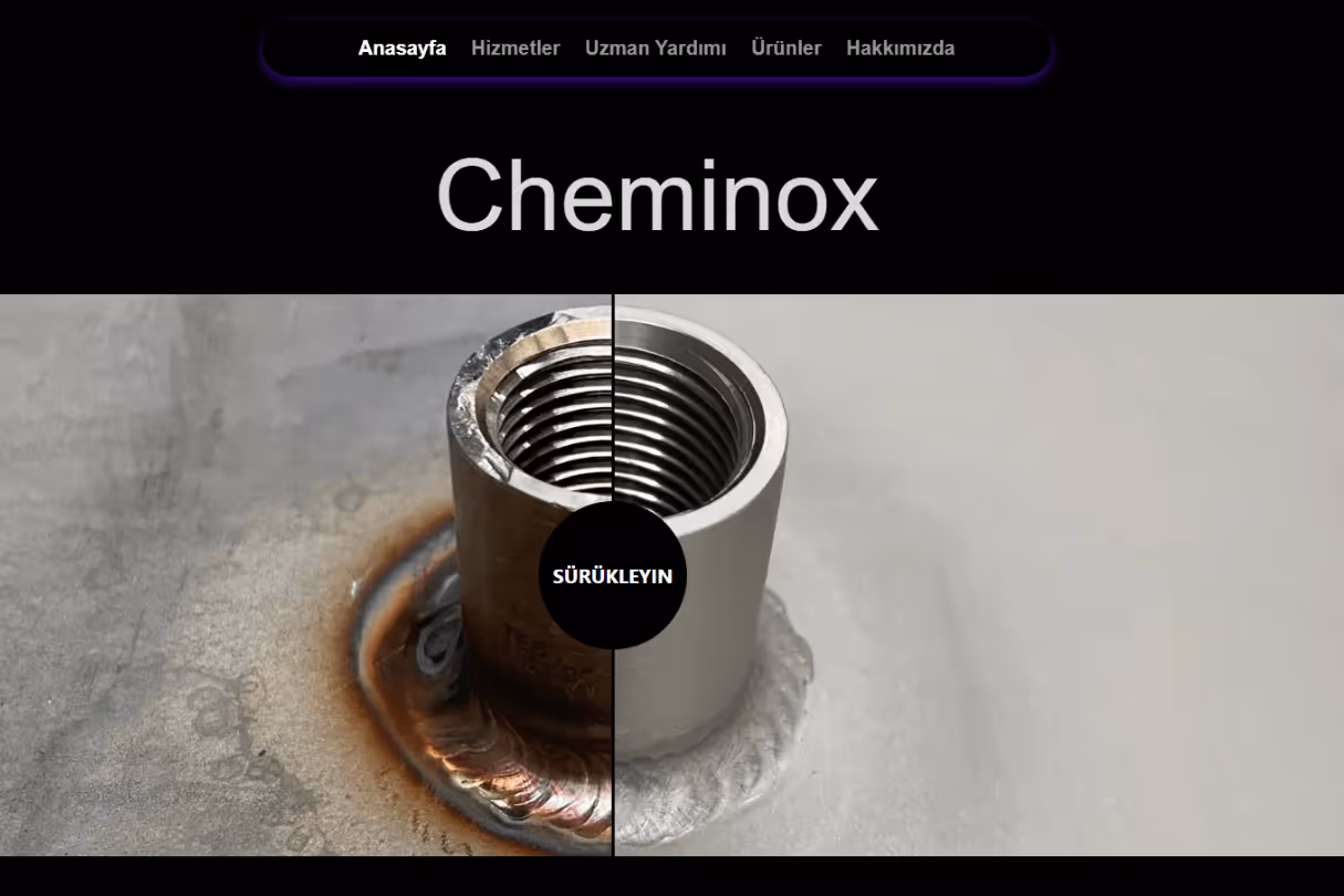 WordPress Web Site Örnekleri